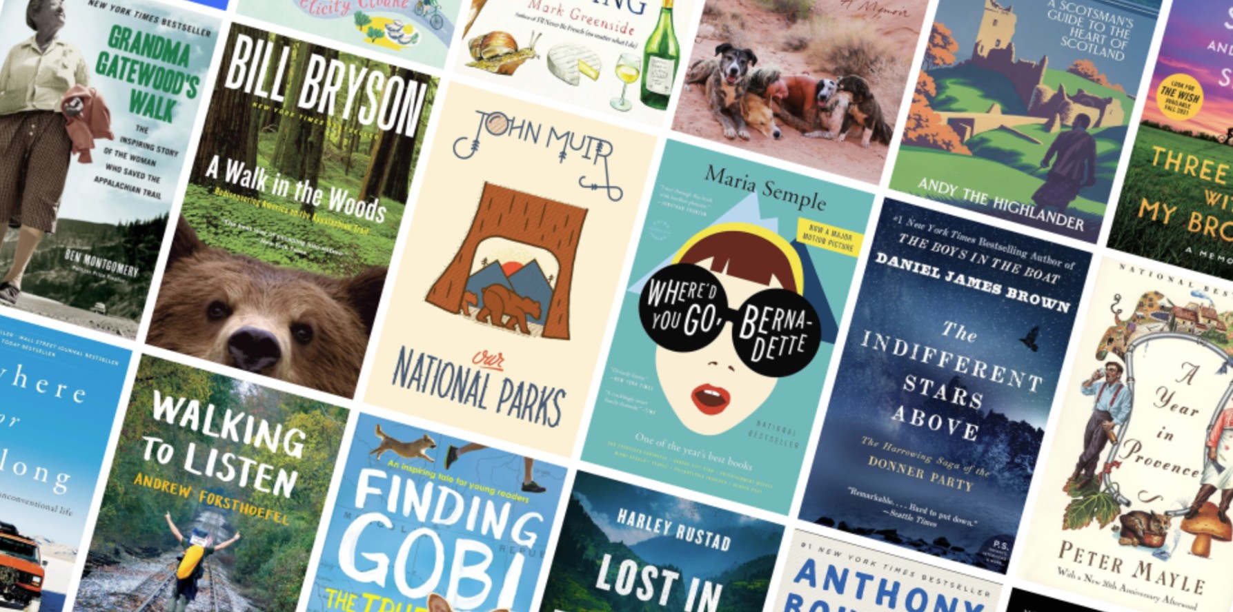 Collage of travel and travelogue book covers.